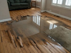 Water Extraction and Structural Drying