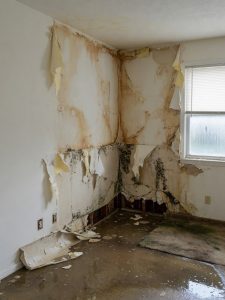 Caravan and RV Water Damage Restoration