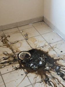 Sewage Cleanup Services