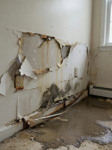 Black Water Damage Cleanup