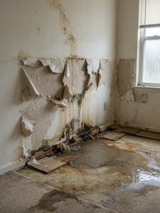 Storm Damage Restoration Services