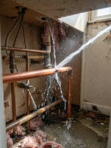 Moisture Mapping and Leak Detection Services