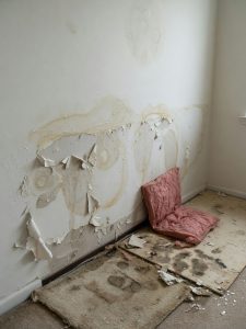 Crawl Space Drying and Encapsulation