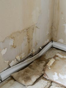 Structural Drying and Dehumidification