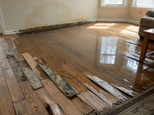 Contents Cleaning and Pack-Out Services