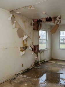 Disaster Restoration Services
